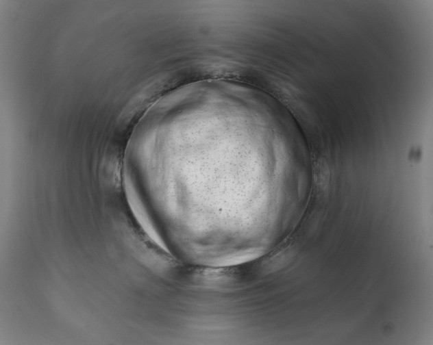 X0000113200622200909241400