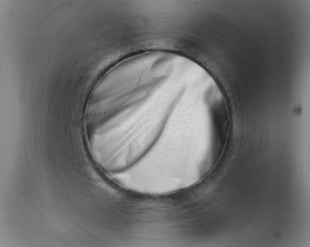 X0000113200625200909241359