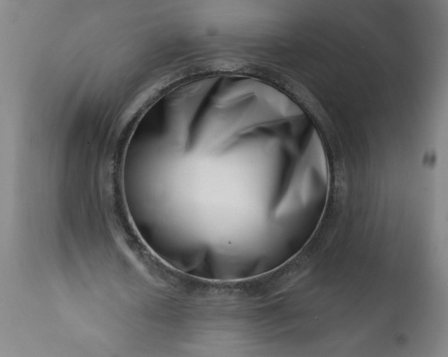 X0000113200626200909241359