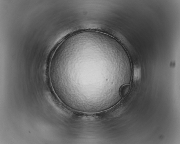 X0000113200627200909241359