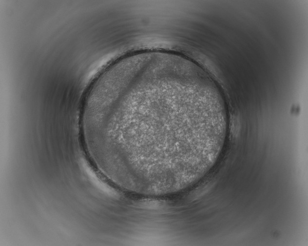 X0000113200629200909241359