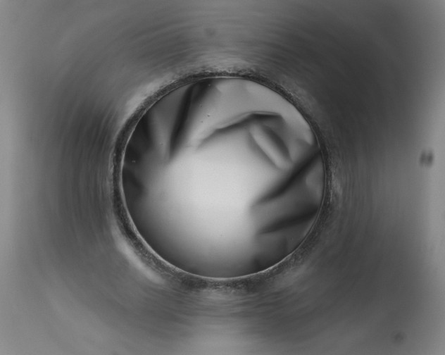 X0000113200630200909241359