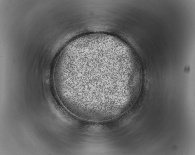 X0000113200631200909241359