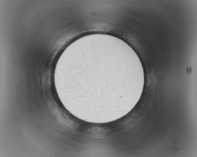 X0000113200632200909241359