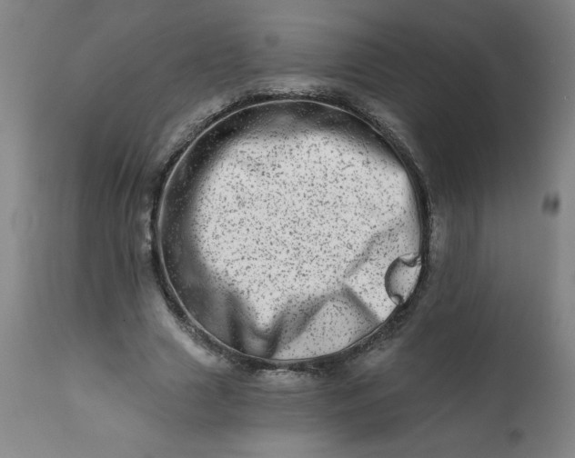 X0000113200633200909241359