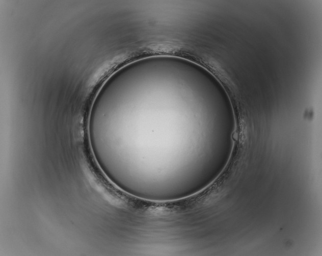 X0000113200634200909241359