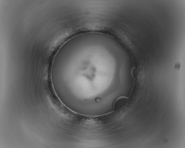 X0000113200635200909241359