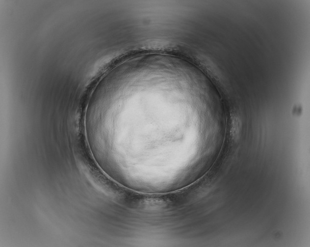 X0000113200636200909241359