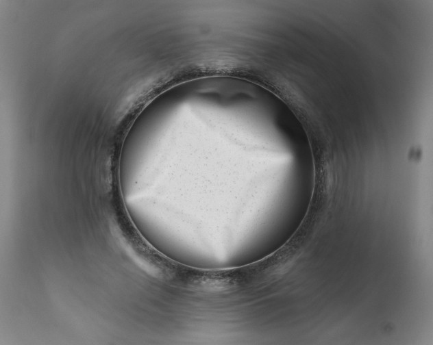 X0000113200638200909241359