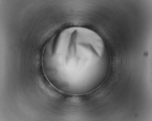 X0000113200639200909241359