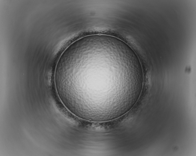 X0000113200640200909241359