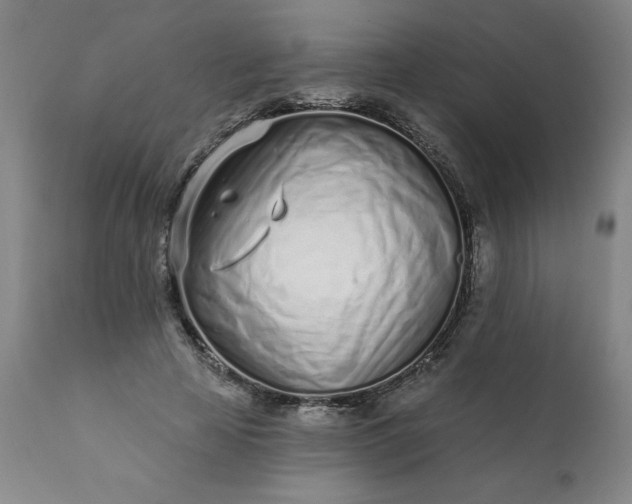 X0000113200641200909241359