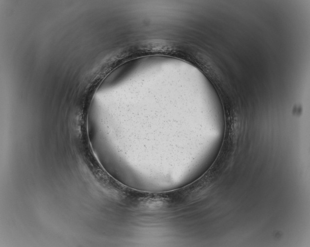 X0000113200643200909241359