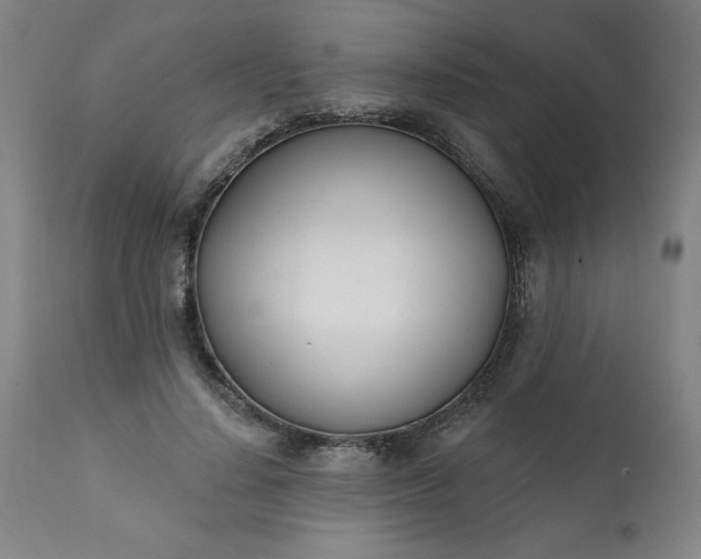 X0000113200644200909241359