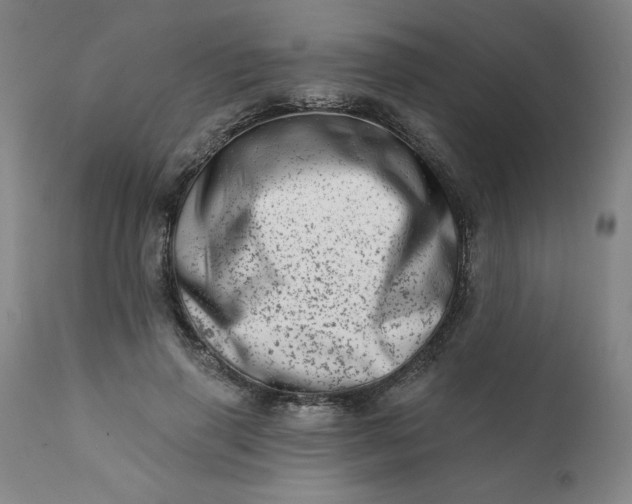 X0000113200645200909241359