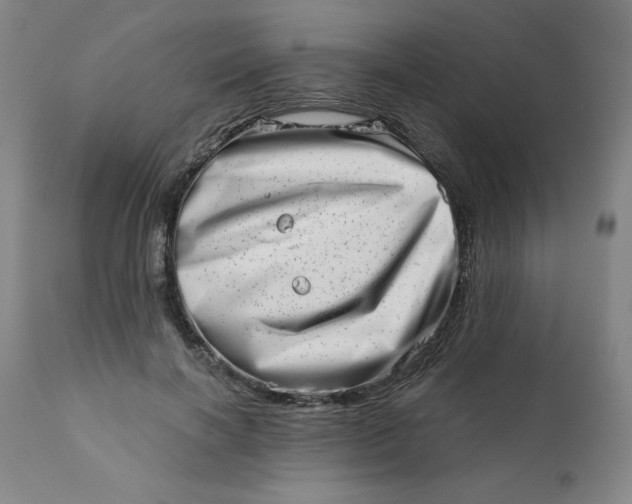 X0000113200646200909241359