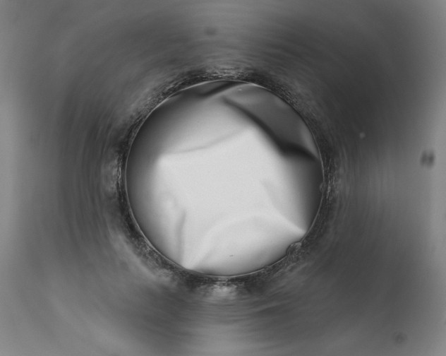 X0000113200647200909241359