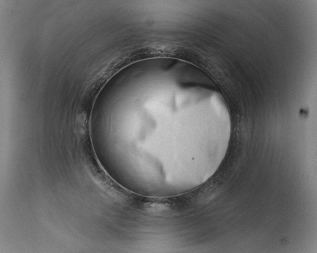 X0000113200649200909241359