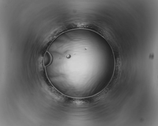 X0000113200650200909241359