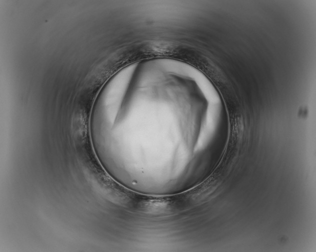 X0000113200651200909241359