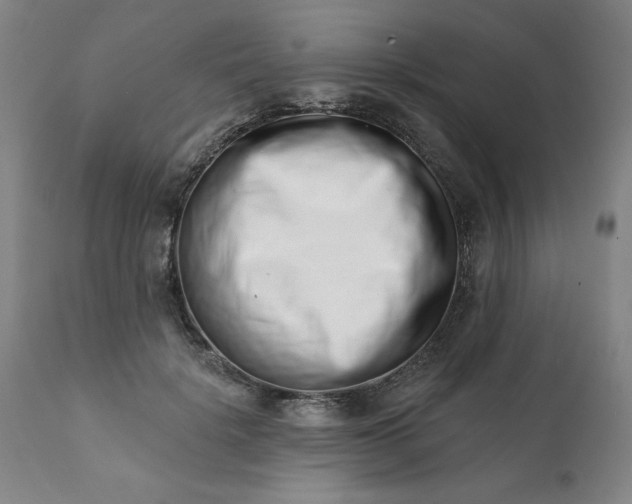 X0000113200652200909241359