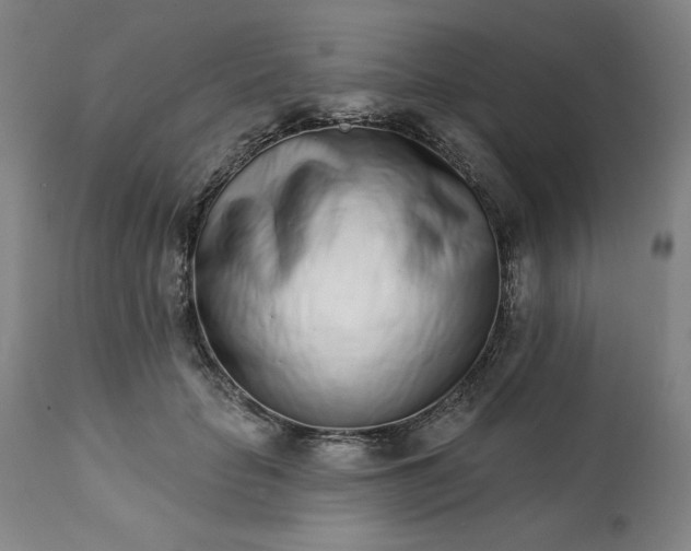 X0000113200653200909241359