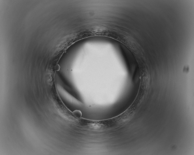 X0000113200654200909241400