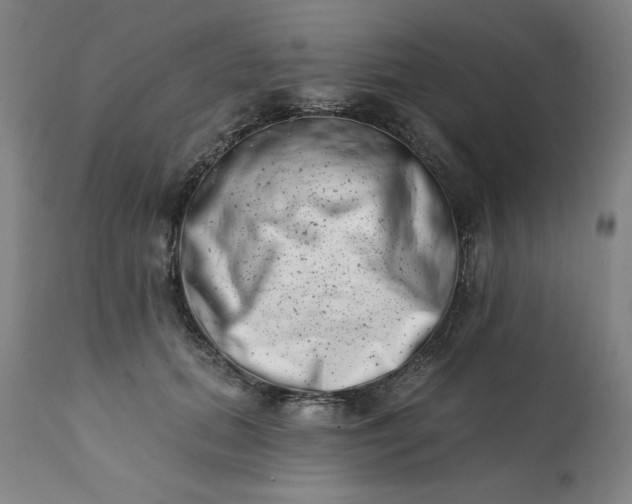 X0000113200655200909241400