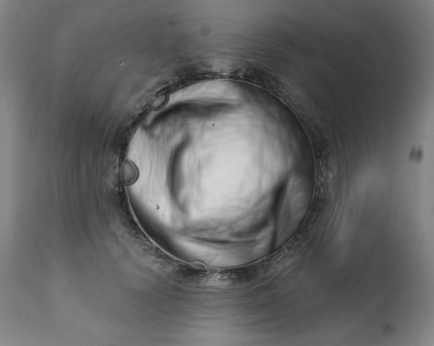 X0000113200656200909241400