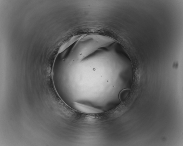 X0000113200657200909241400