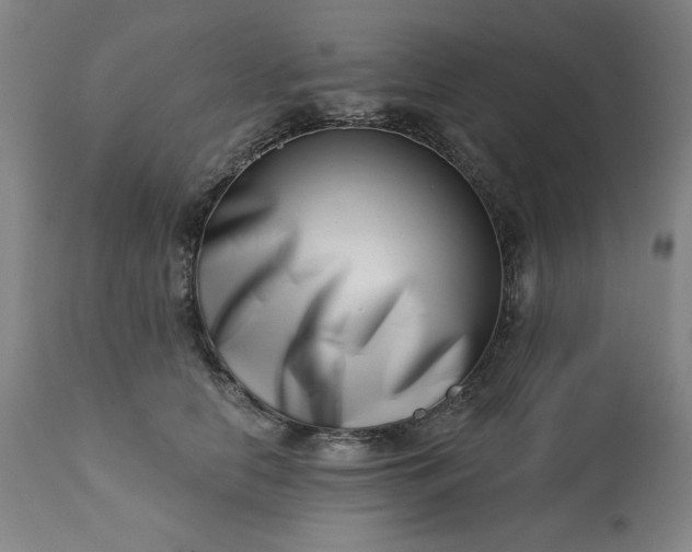 X0000113200658200909241400