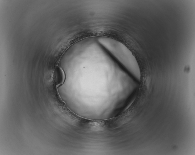 X0000113200660200909241400