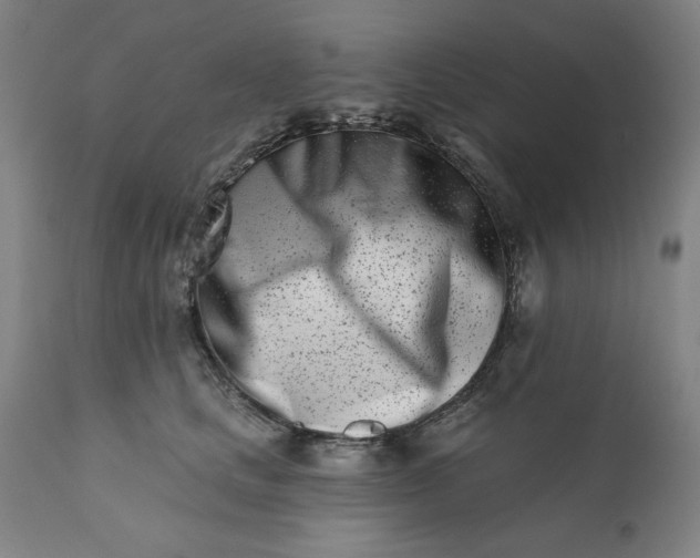 X0000113200661200909241400