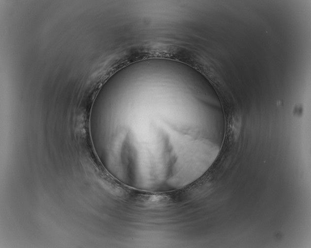 X0000113200663200909241400