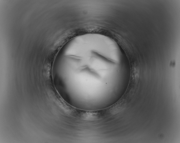 X0000113200664200909241400