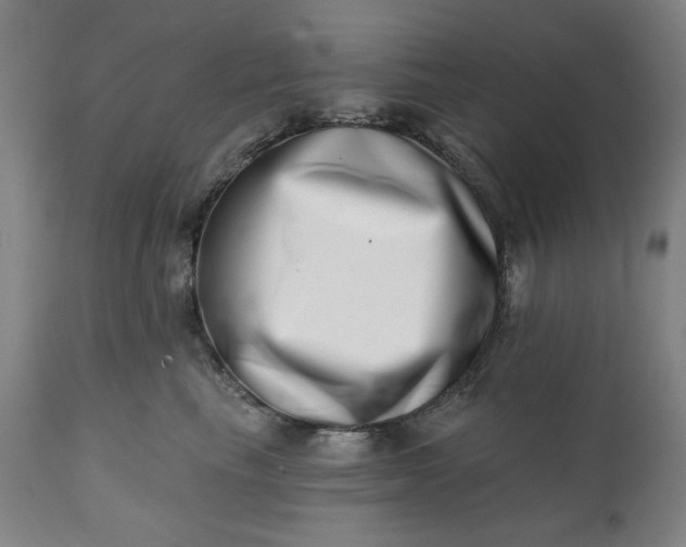 X0000113200665200909241400