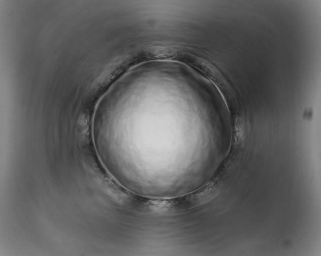 X0000113200667200909241400