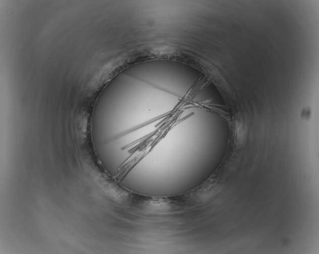 X0000113200668200909241400