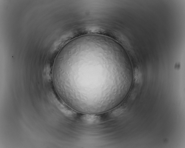 X0000113200670200909241400