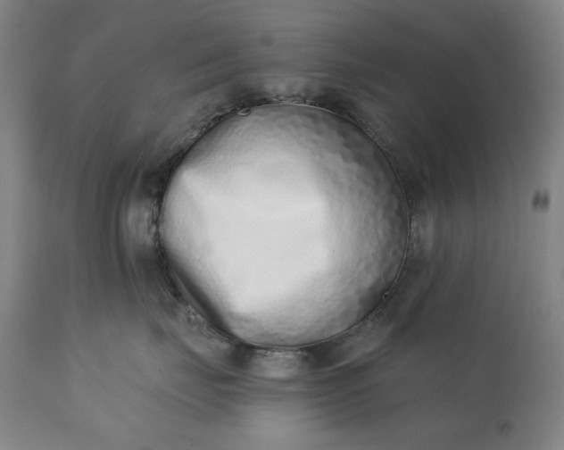 X0000113200671200909241400