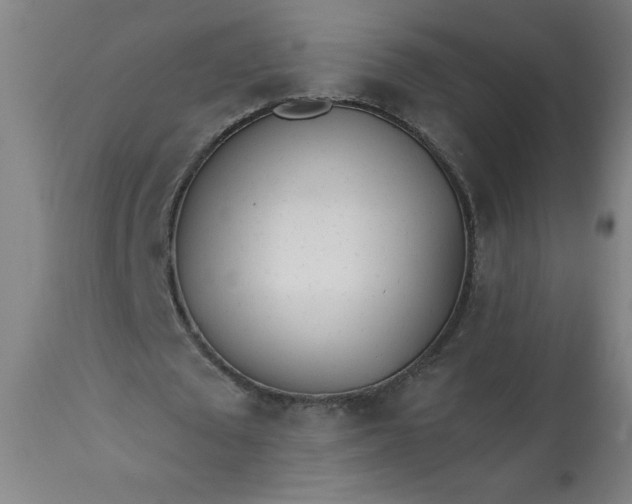 X0000113200673200909241359