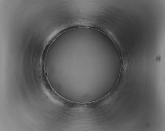 X0000113200674200909241359