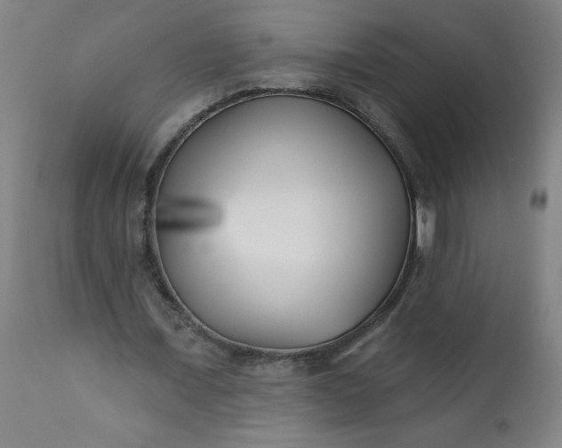 X0000113200675200909241359