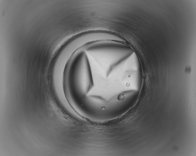 X0000113200676200909241359