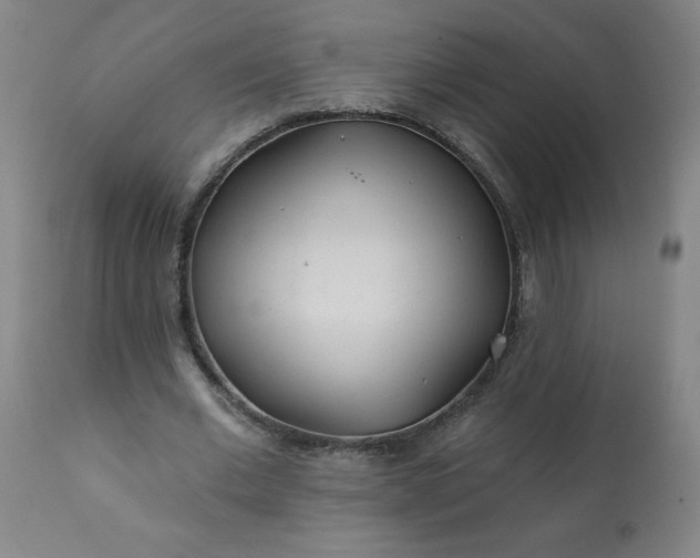 X0000113200677200909241359