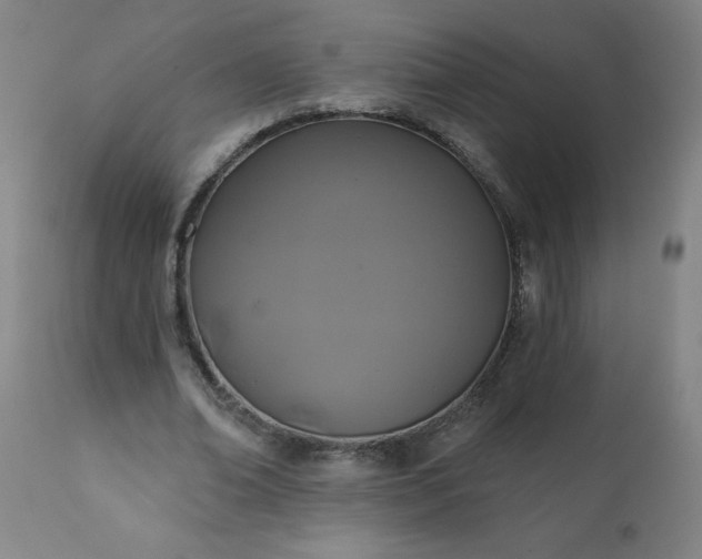 X0000113200678200909241359