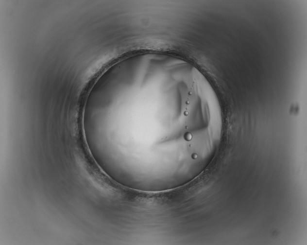 X0000113200679200909241359