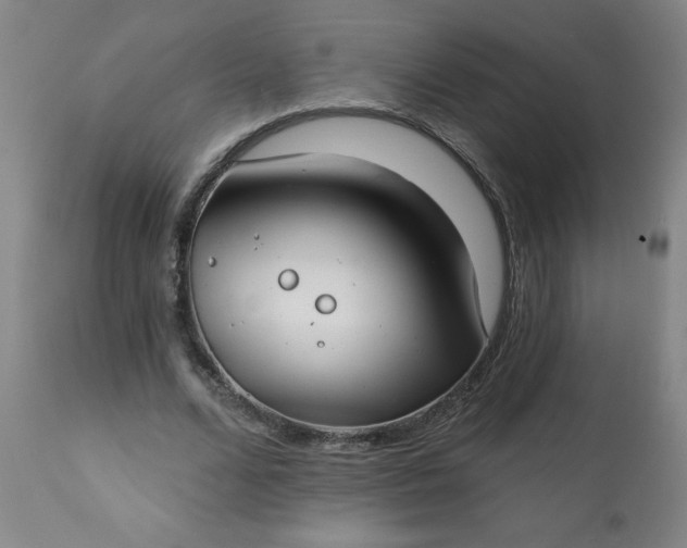 X0000113200680200909241359