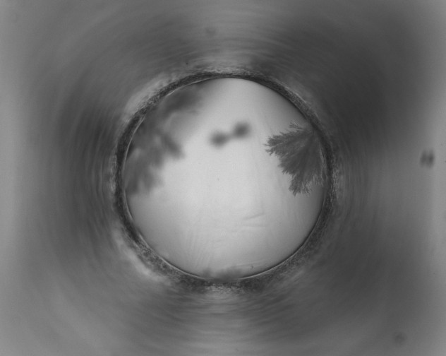 X0000113200682200909241359