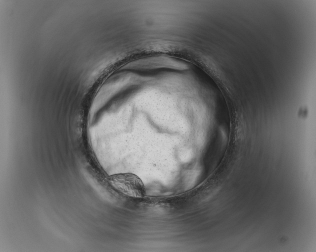 X0000113200683200909241359